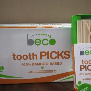 Bamboo Toothpick 100 Pc